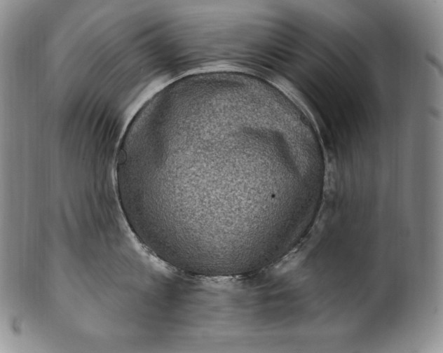 X0000100500813200806271257