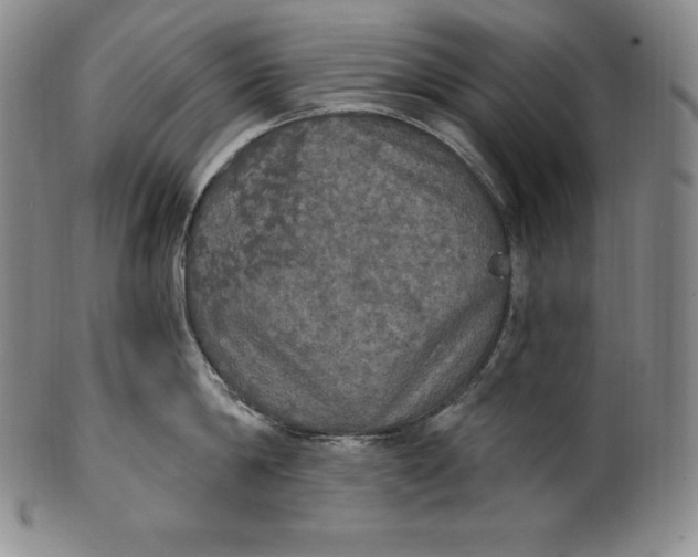 X0000100500814200806271257