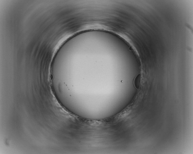 X0000100500815200806271257