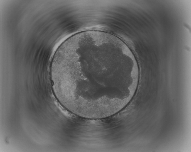 X0000100500816200806271257