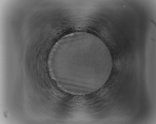 X0000100500817200806271257