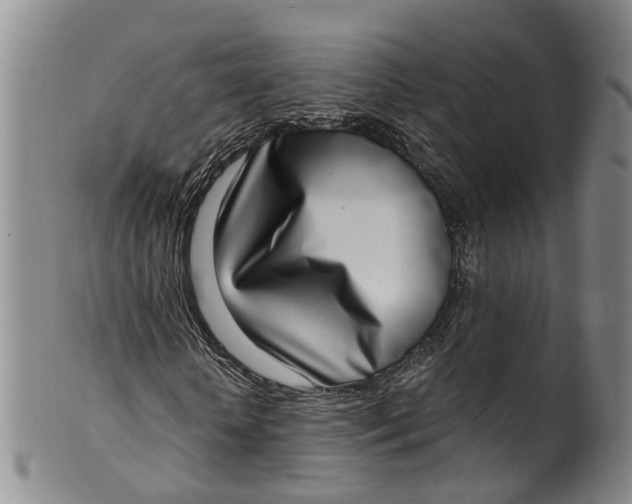 X0000100500818200806271257