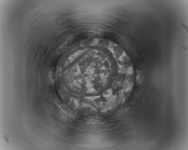 X0000100500819200806271257