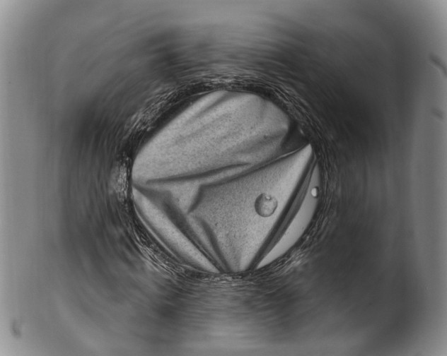 X0000100500820200806271257