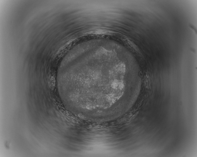 X0000100500821200806271257