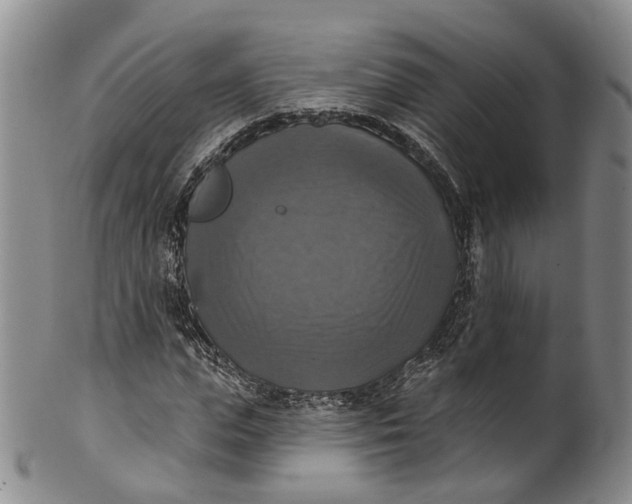 X0000100500823200806271257