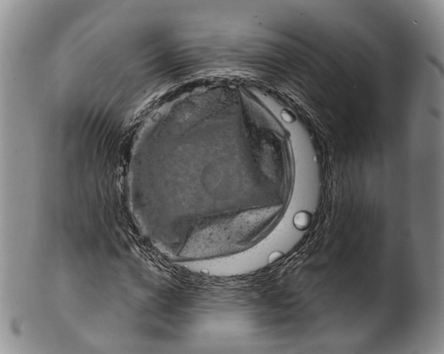 X0000100500824200806271257