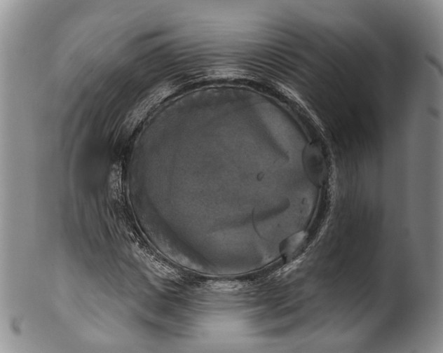 X0000100500825200806271257