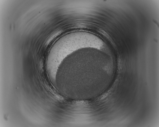 X0000100500826200806271257