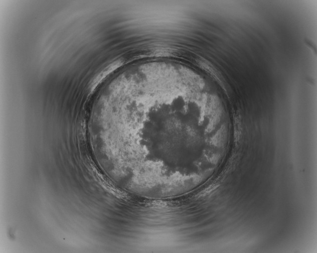 X0000100500827200806271257