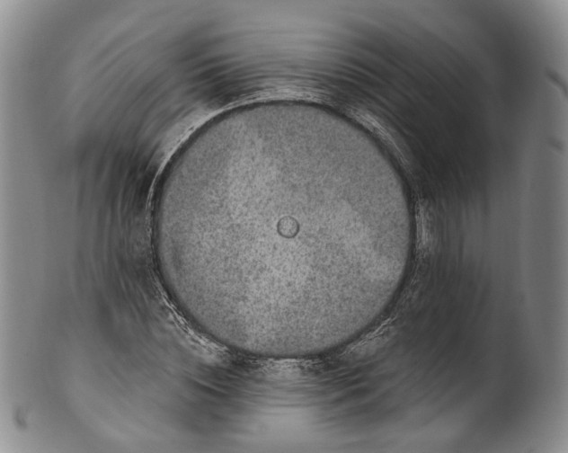 X0000100500828200806271257