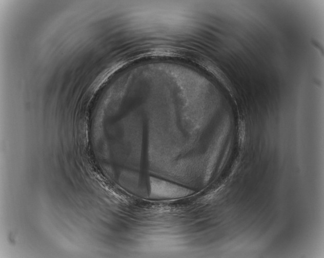 X0000100500829200806271257