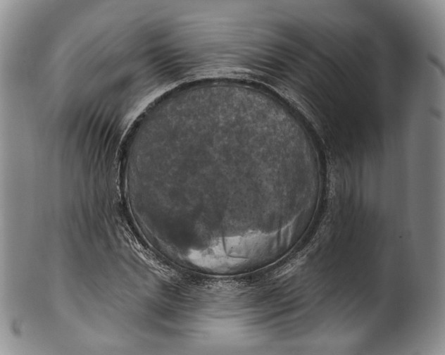 X0000100500830200806271257