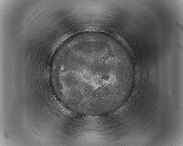 X0000100500831200806271257