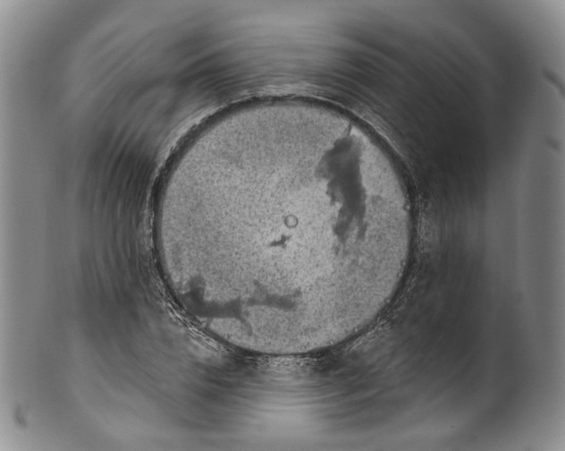 X0000100500832200806271257