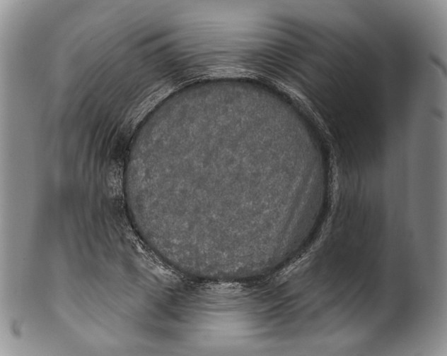 X0000100500833200806271257