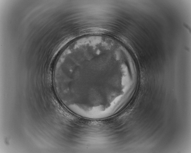 X0000100500835200806271257