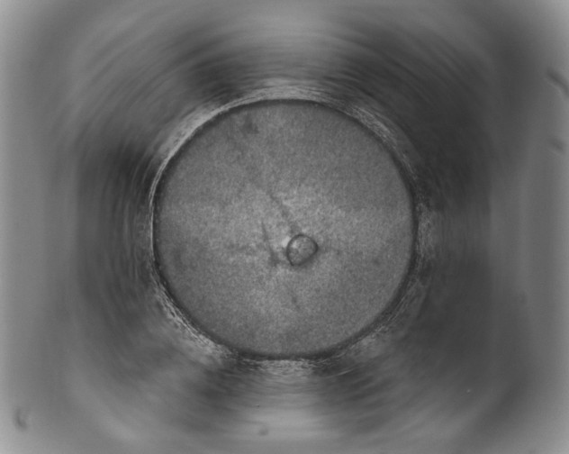 X0000100500836200806271257