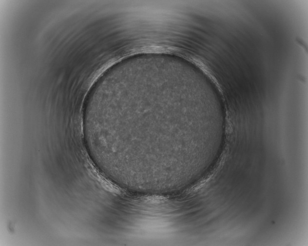 X0000100500837200806271257