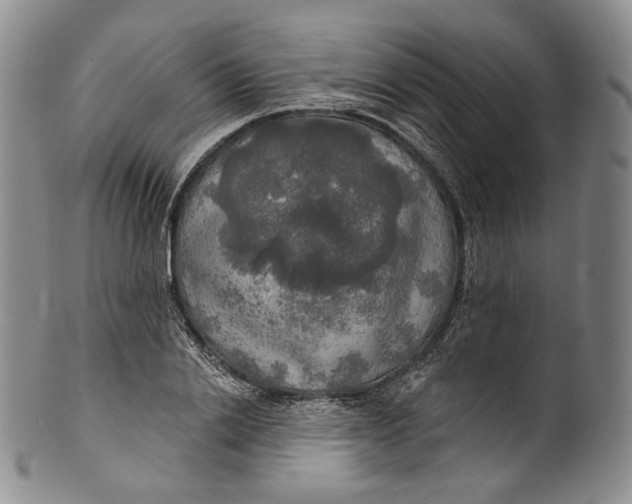 X0000100500838200806271257