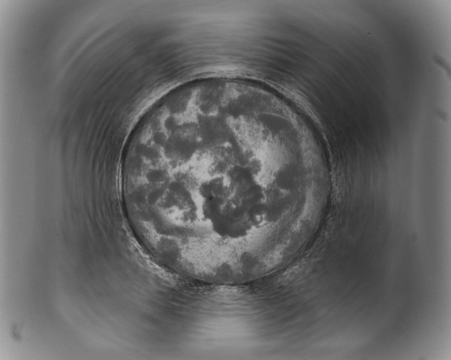 X0000100500839200806271257