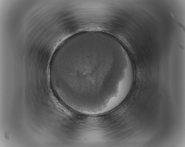 X0000100500840200806271257