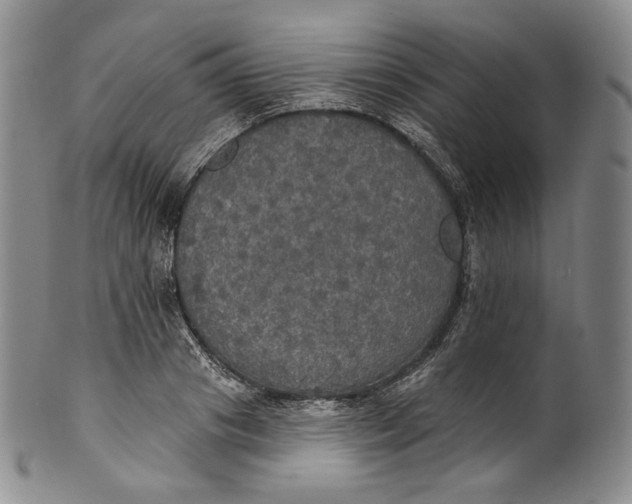 X0000100500841200806271257