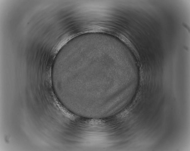 X0000100500842200806271257