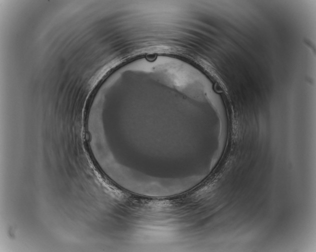 X0000100500845200806271257