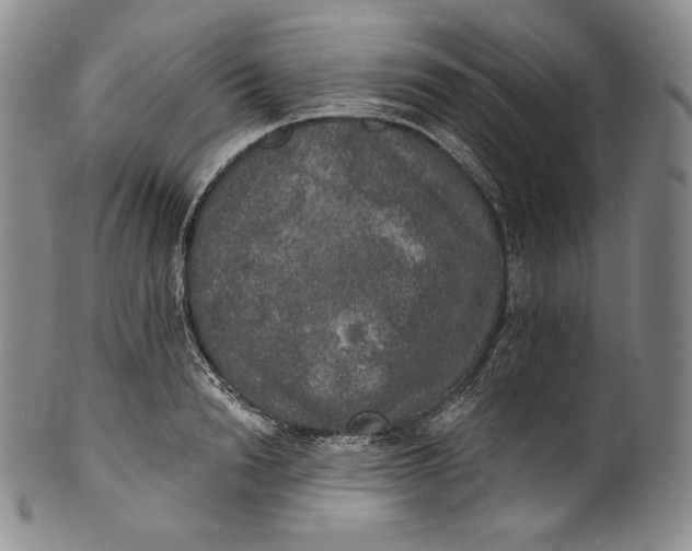 X0000100500846200806271257