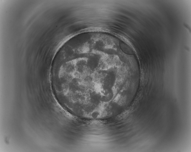 X0000100500847200806271257