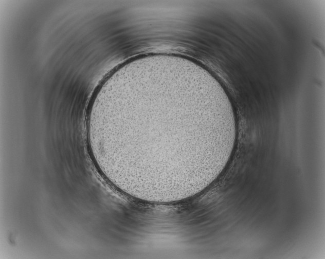 X0000100500848200806271257