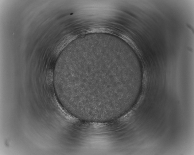 X0000100500849200806271257