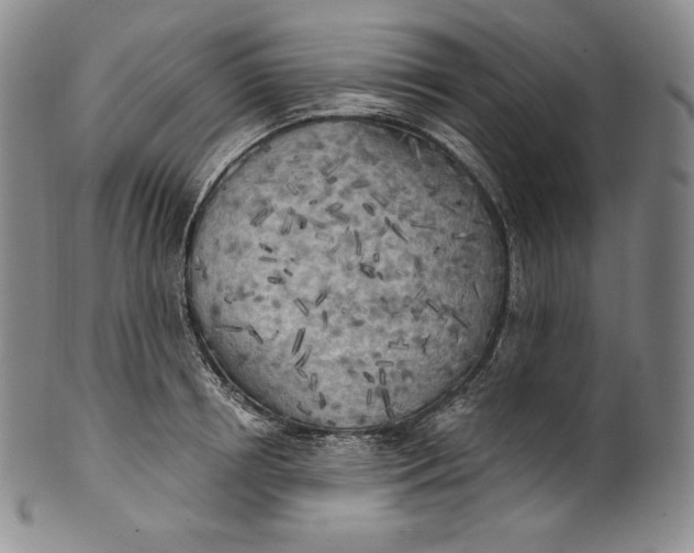 X0000100500850200806271257