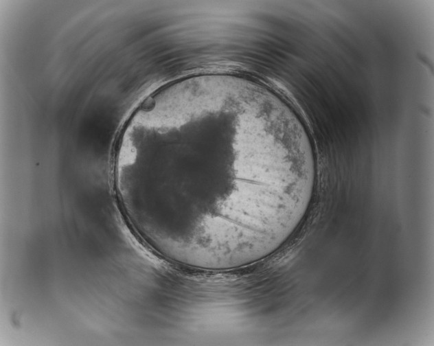 X0000100500851200806271257