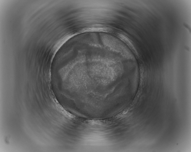 X0000100500852200806271257