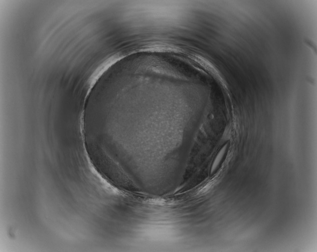 X0000100500855200806271257