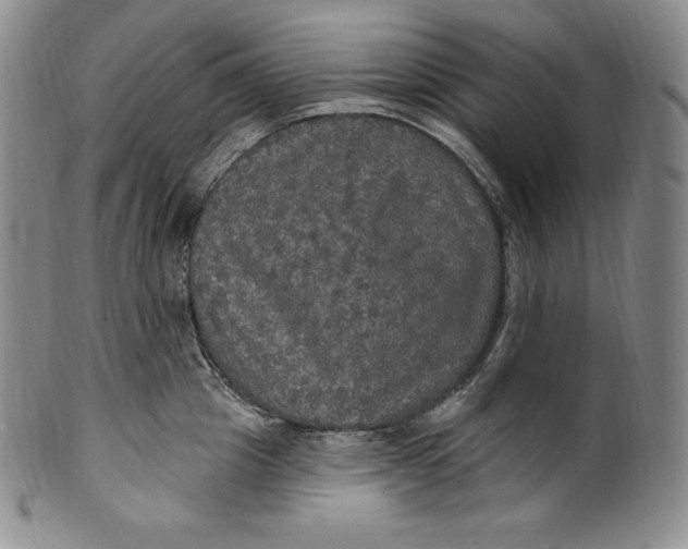 X0000100500857200806271257