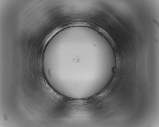 X0000100500860200806271257