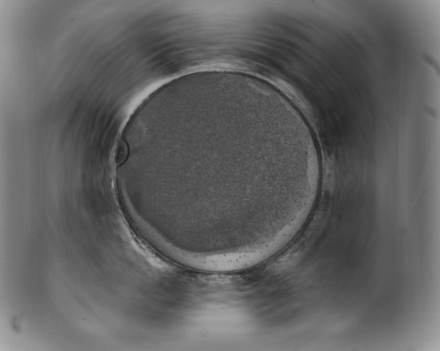 X0000100500862200806271257