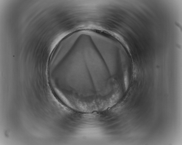 X0000100500863200806271257