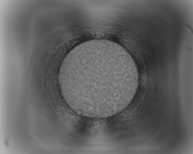 X0000100500865200806271257