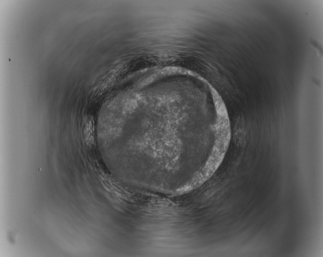 X0000100500866200806271257