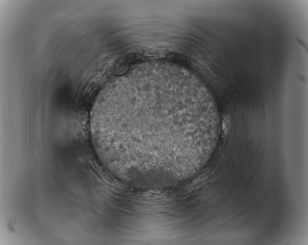 X0000100500867200806271257