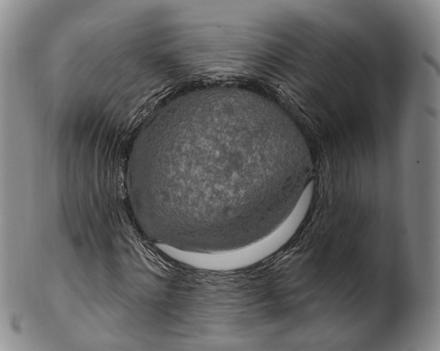 X0000100500868200806271257