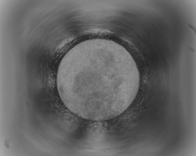 X0000100500869200806271257