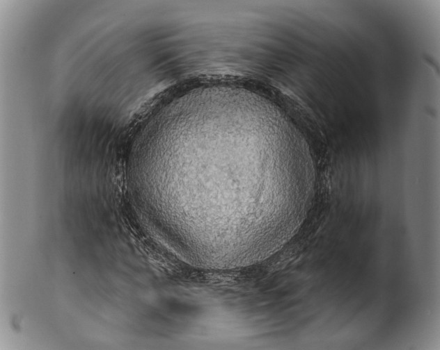 X0000100500870200806271257