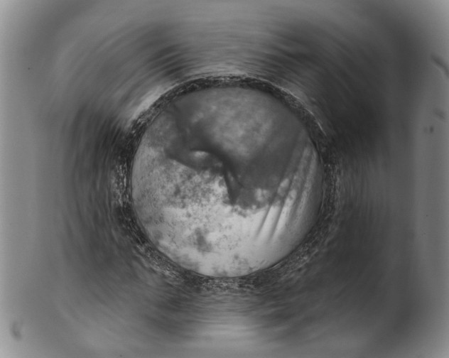 X0000100500871200806271257