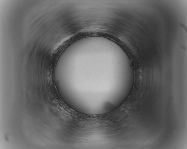 X0000100500872200806271257