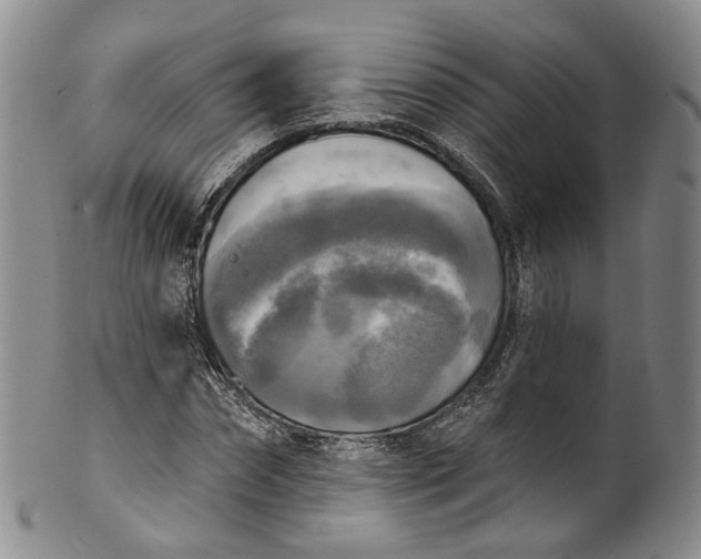 X0000100500874200806271257